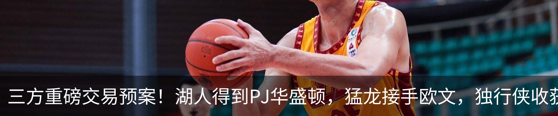 新闻动态