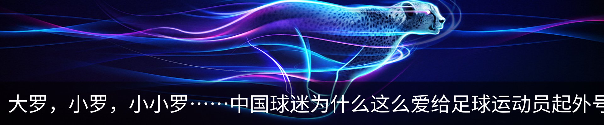 新闻动态