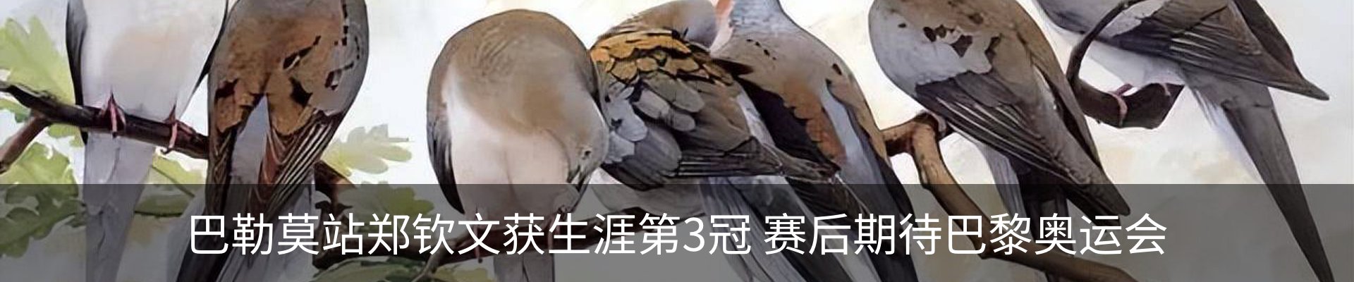 新闻动态