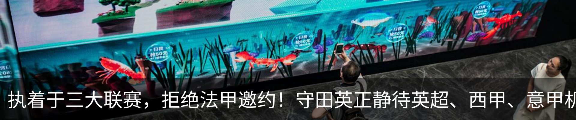 新闻动态