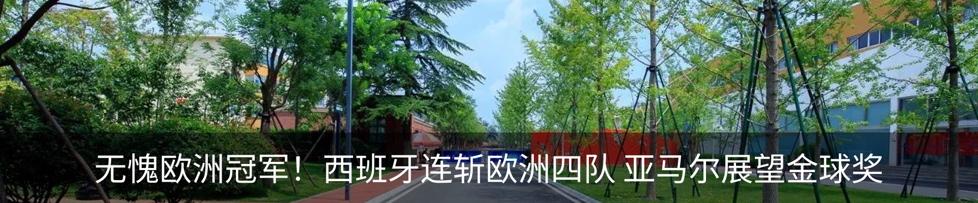 新闻动态