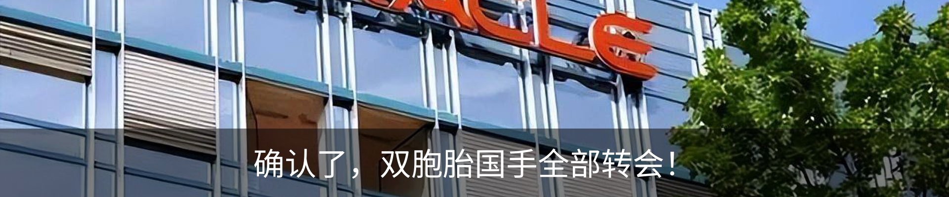新闻动态