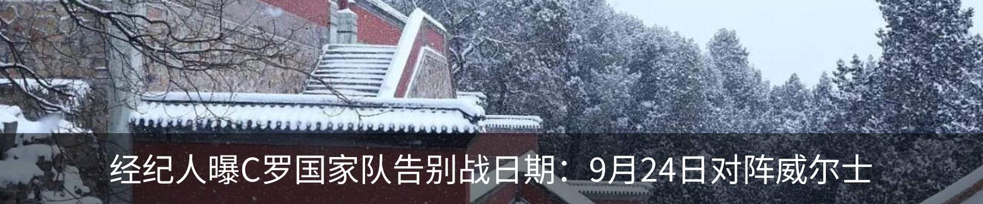 新闻动态